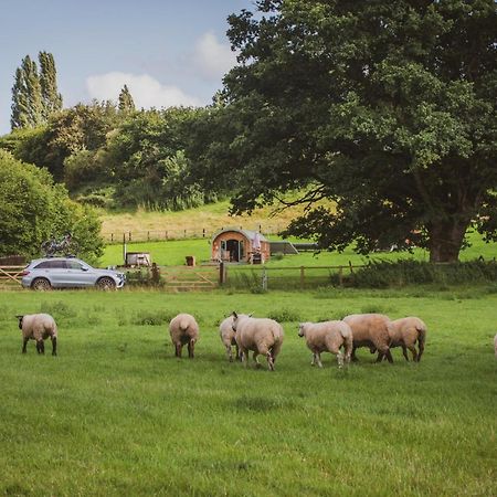 Hidden Wood Glamping And The Hideaway Cabin Warminster Exterior photo